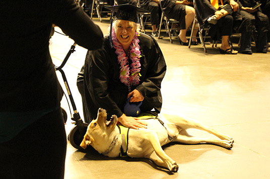 grad-and-dog