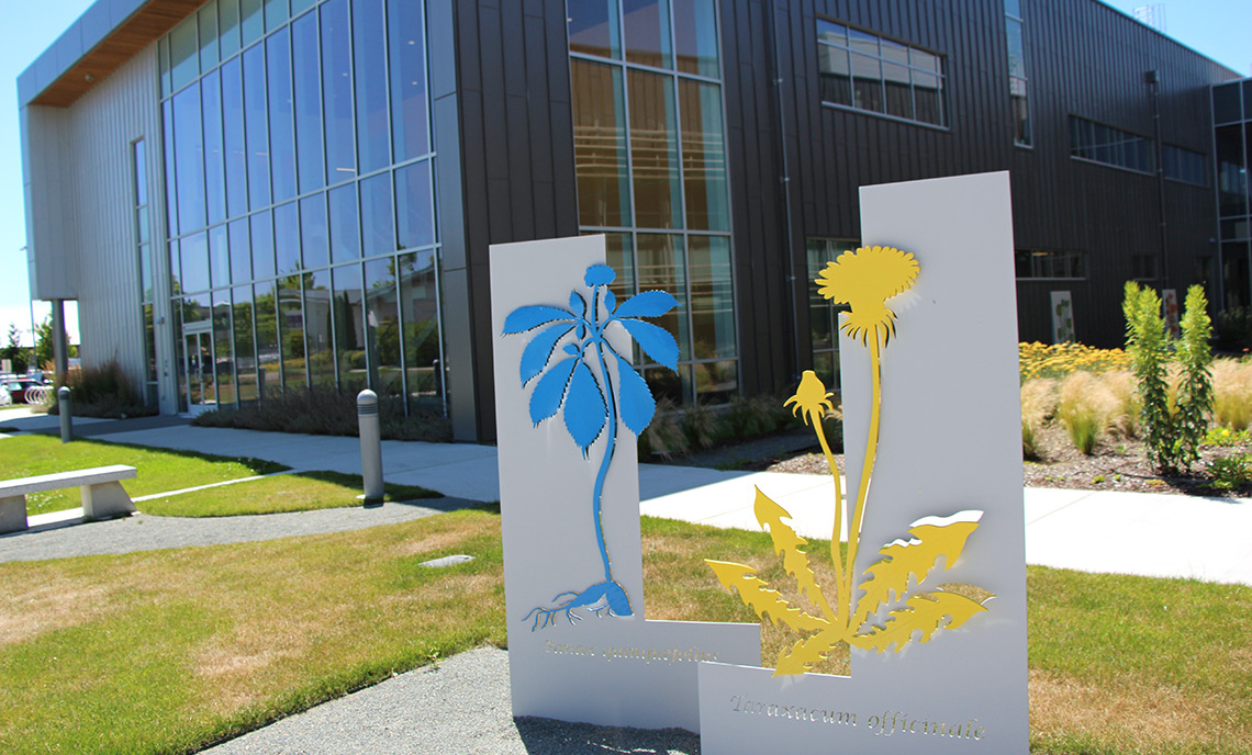 Local Artist Creates Public Artwork for Clover Park Technical College