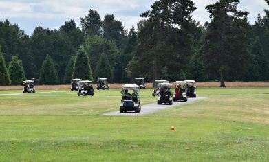 Line of golf carts drive on the golf course.