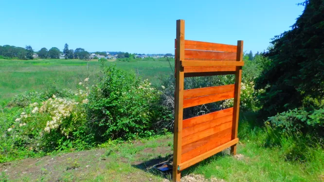 Wooden bird blind built by Dr. Faust for birdwatching overlooking the CPTC wetlands. 