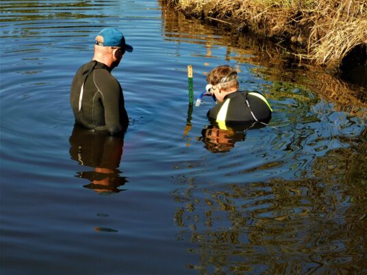 Photo Marcia Wilson.  City of Tacoma's Chris Burke (left) and Dr. Faust (right) are setting temperature sensors in the college wetlands.  The batteries will last for months, providing real-time data for watershed management.