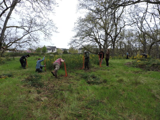 Photo Derek Faust.  Early Earth Day at the CPTC Outdoor Lab.
