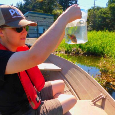 Photo Marcia Wilson. Former Env Sci Student Jay Hart now works at CPTC as a substitute instructor. Here he is examining a pumpkinseed perch found in the college wetlands.