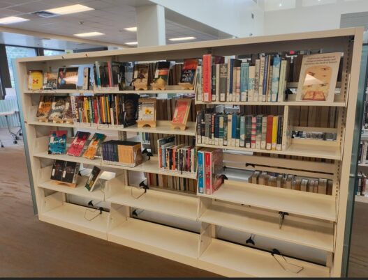 photo Marcia Wilson. The ever-growing ELL collection in question in the LRC